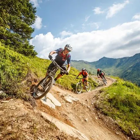 公寓式酒店 Wieshofgut