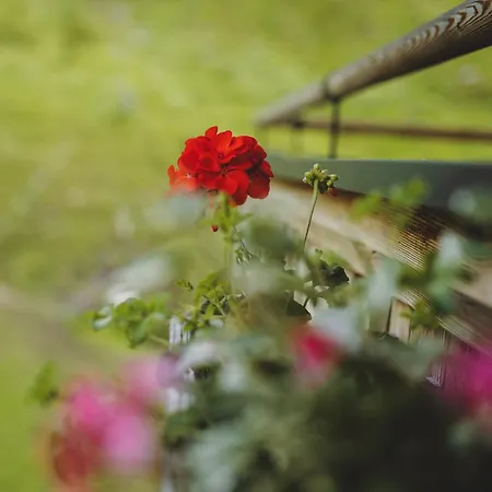 Wieshofgut 公寓式酒店